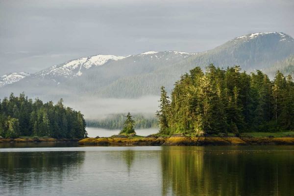 Alaska, Inside Passage Foggy forest and Mountain